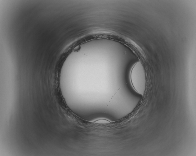 X0000110990775200906191109