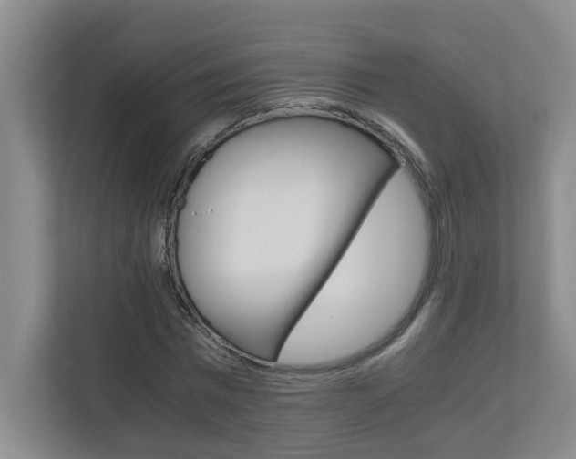 X0000110990777200906191109