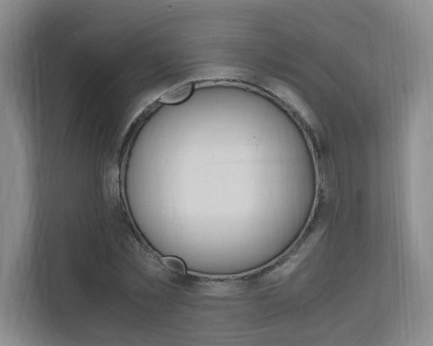 X0000110990781200906191109