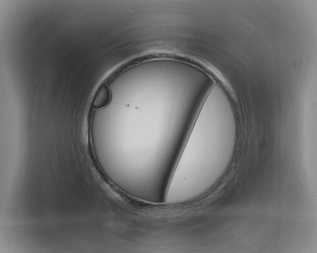 X0000110990791200906191109
