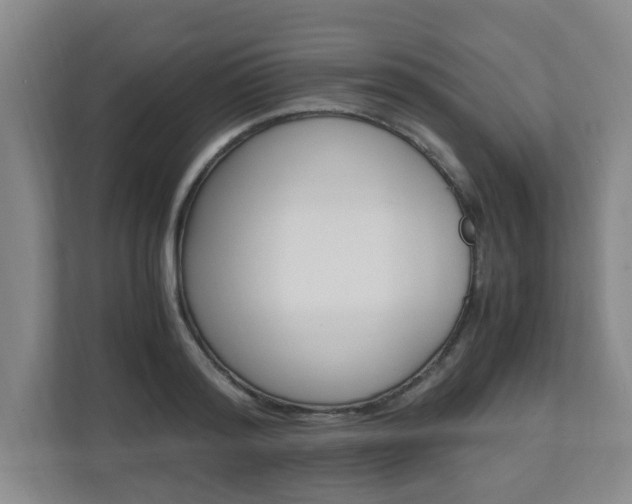 X0000110990796200906191109
