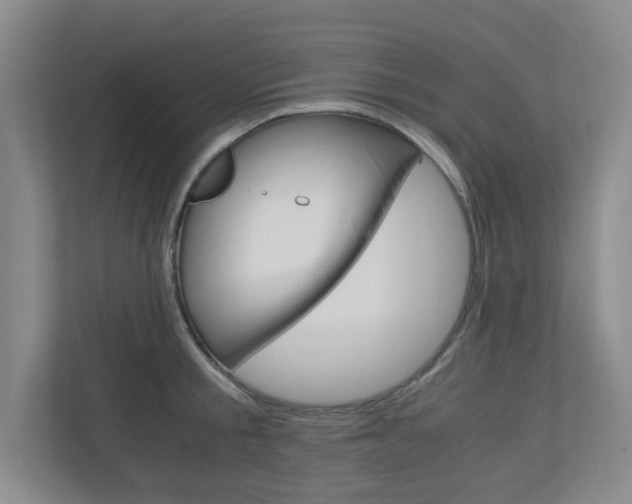 X0000110990805200906191109
