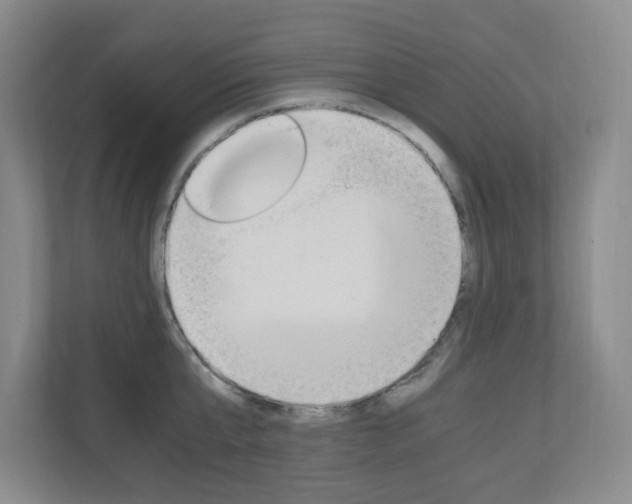 X0000110990807200906191109