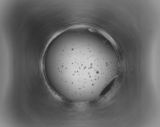 X0000110990813200906191109