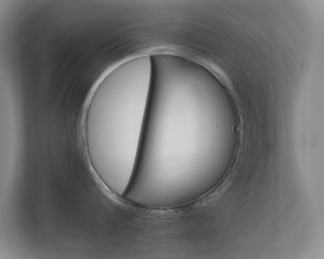 X0000110990816200906191109