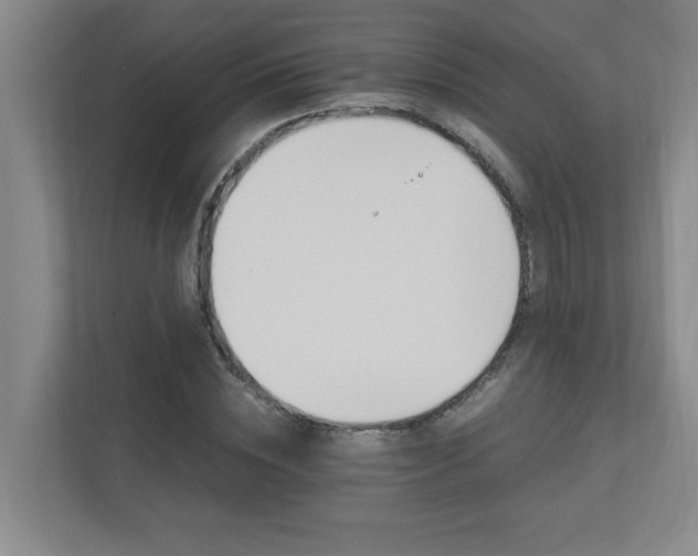 X0000110990828200906191108