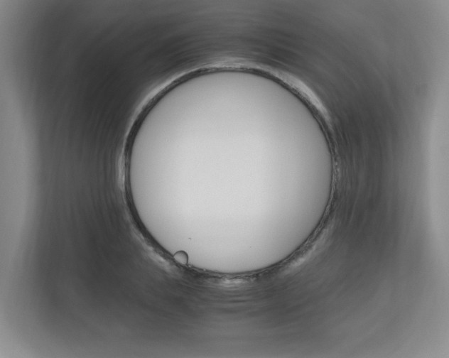 X0000110990839200906191109