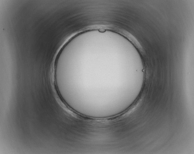 X0000110990844200906191109