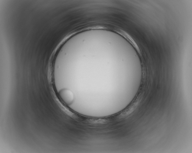 X0000110990851200906191109