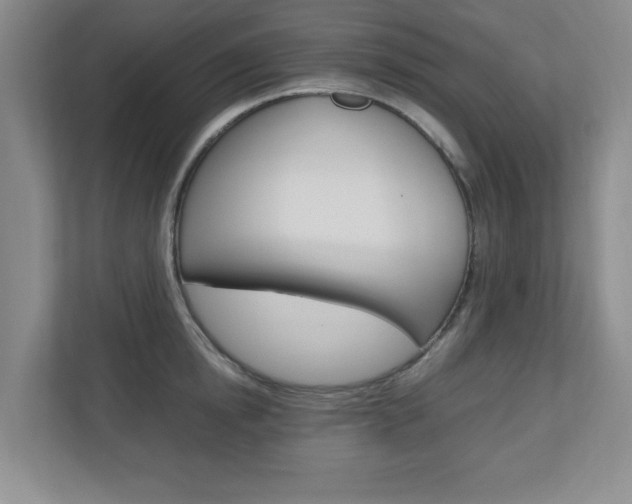 X0000110990854200906191109