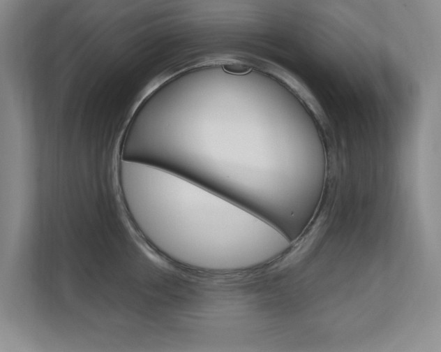X0000110990858200906191109