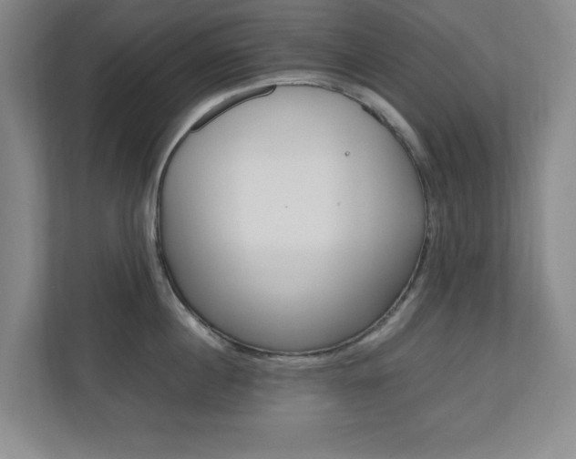 X0000110990860200906191109