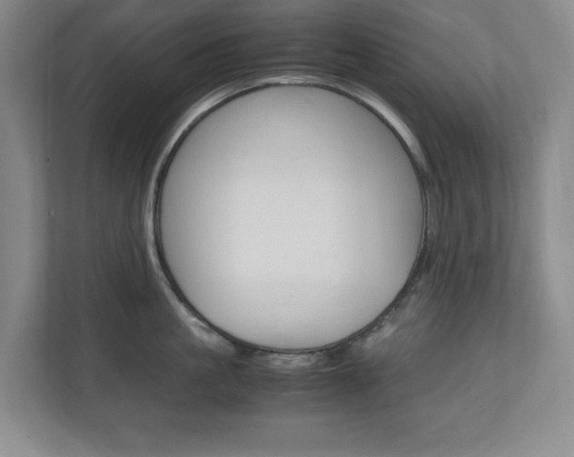 X0000110990861200906191109