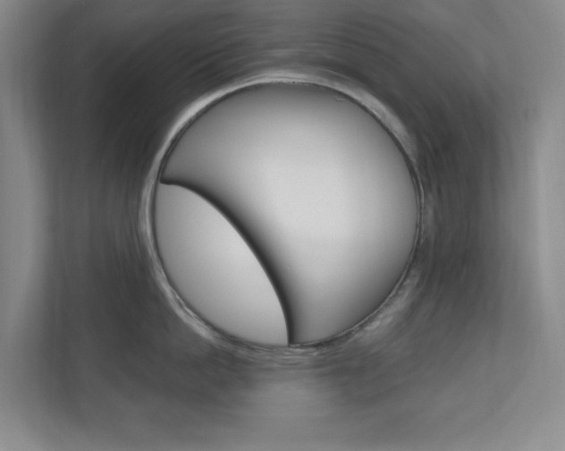 X0000110990862200906191109