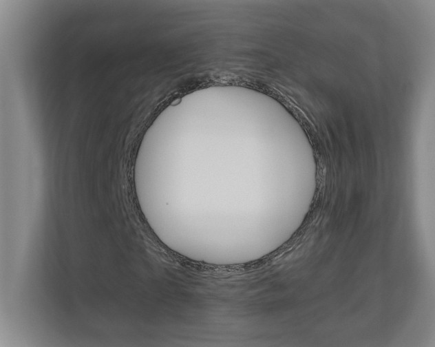 X0000110990865200906191108