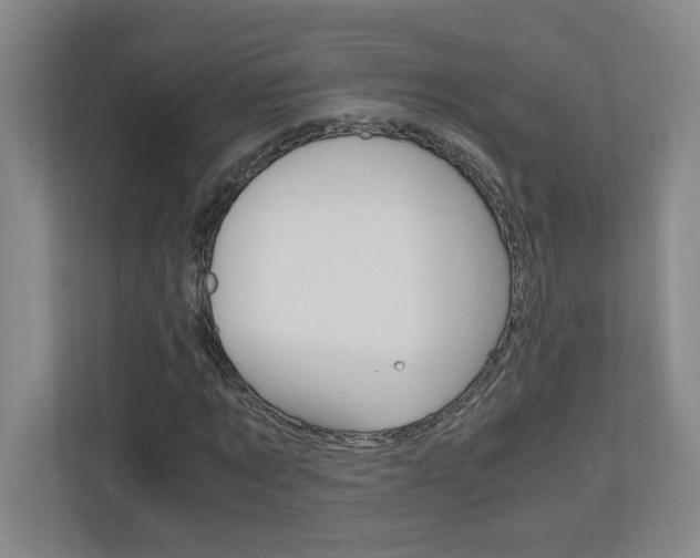 X0000110990869200906191108