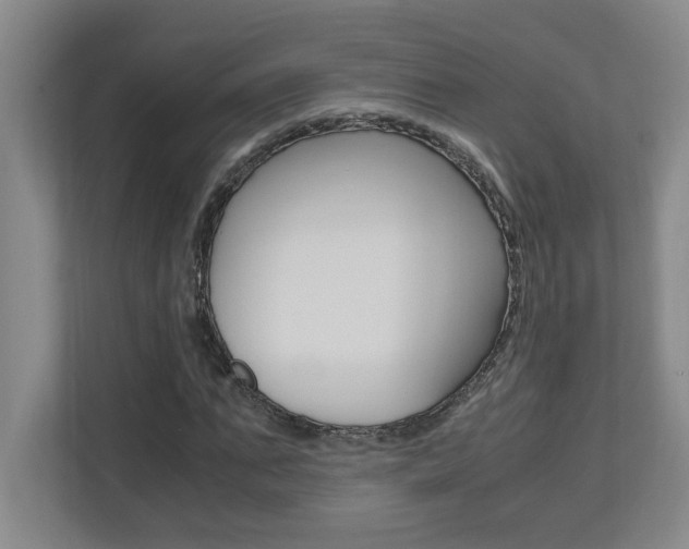X0000110990871200906191108
