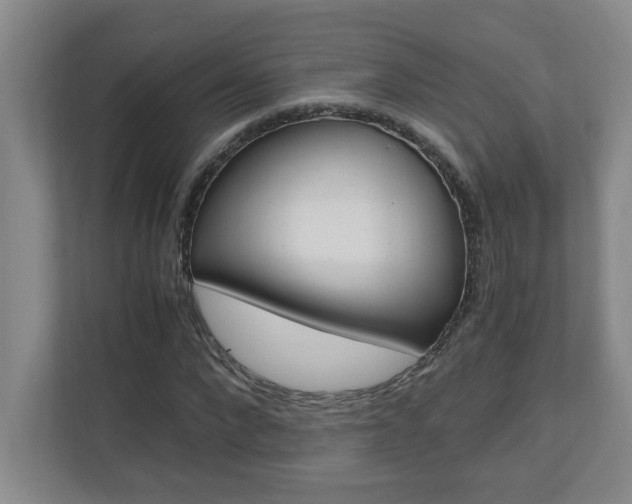 X0000110990872200906191108