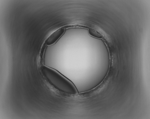 X0000110990876200906191108