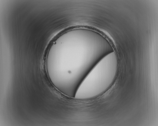 X0000110990879200906191108