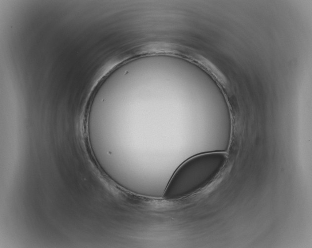 X0000110990893200906191108