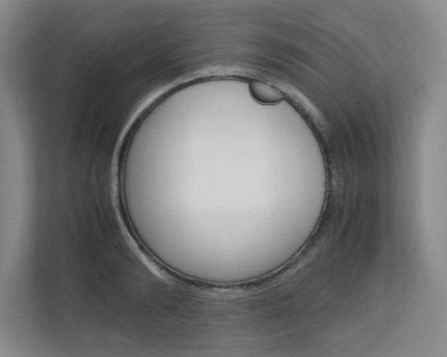 X0000110990894200906191108