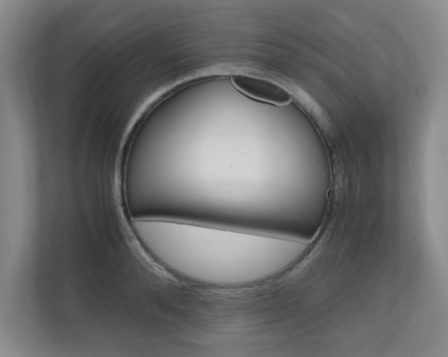 X0000110990896200906191108