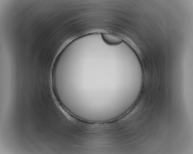 X0000110990898200906191108