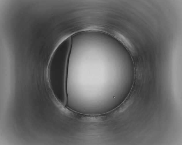 X0000110990900200906191108