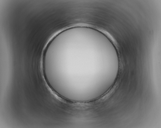 X0000110990910200906191108
