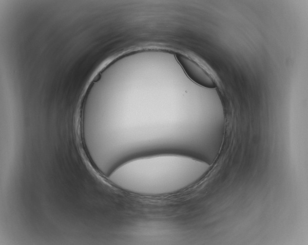 X0000110990911200906191108