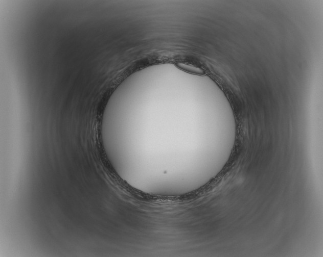 X0000110990914200906191107