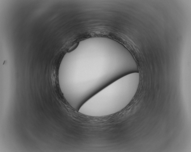 X0000110990915200906191107