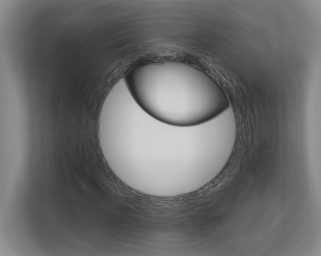 X0000110990916200906191107