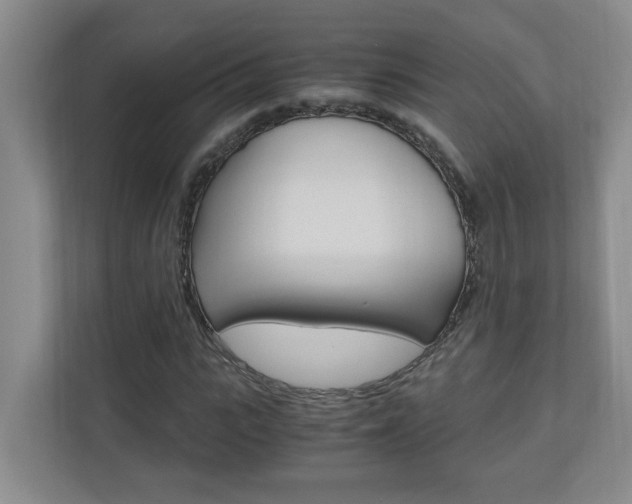X0000110990919200906191107