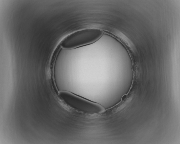 X0000110990924200906191107