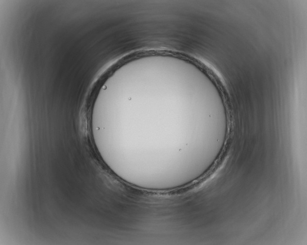 X0000110990925200906191107