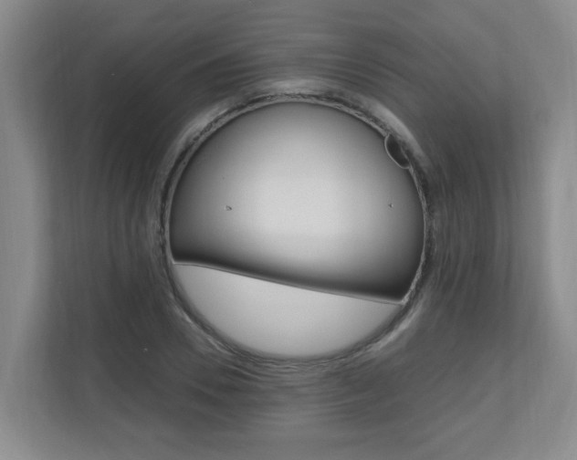 X0000110990930200906191107