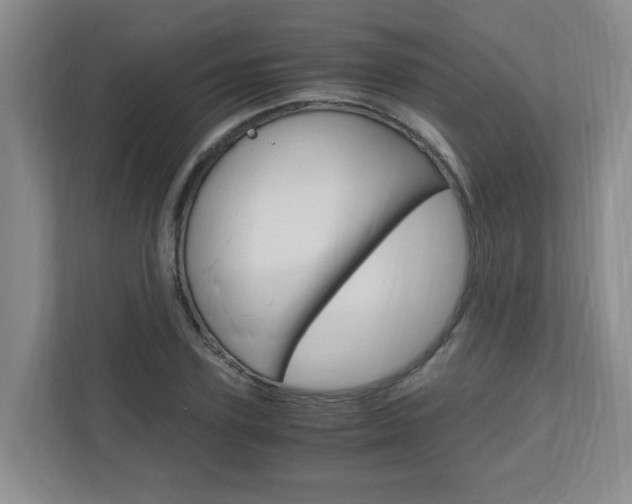 X0000110990931200906191107