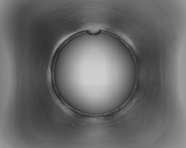 X0000110990936200906191107