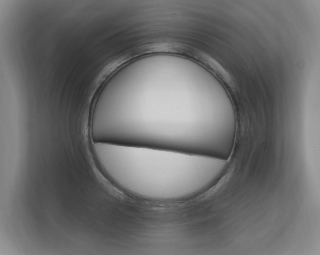 X0000110990938200906191107