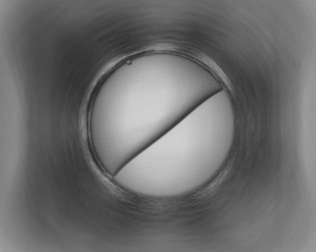 X0000110990939200906191107
