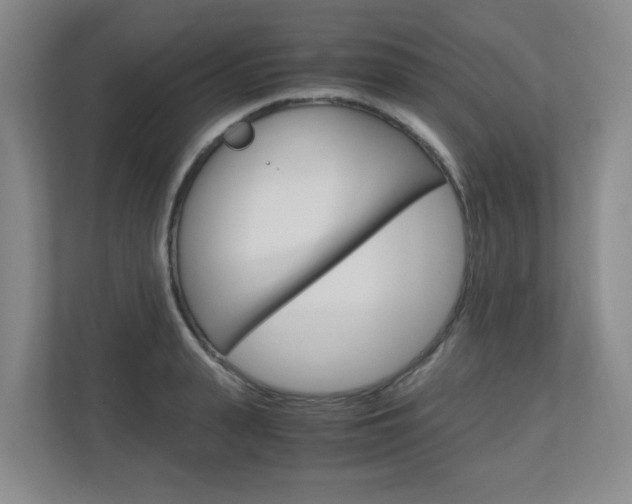 X0000110990943200906191107