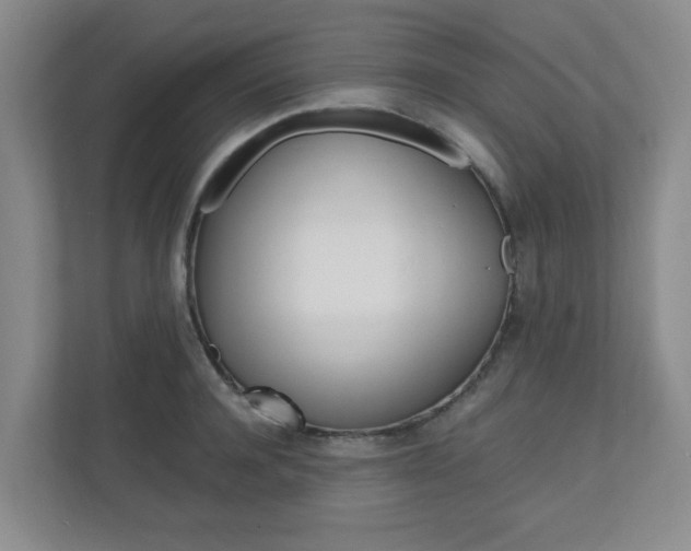 X0000110990944200906191107
