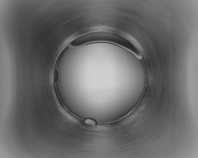 X0000110990946200906191107