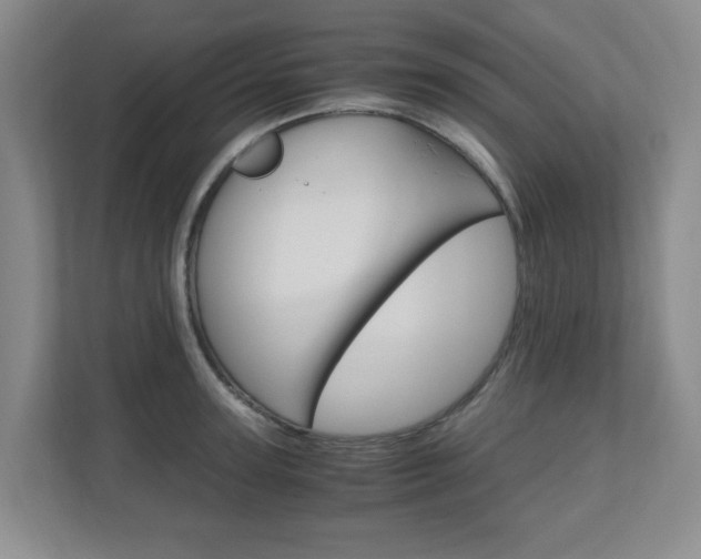X0000110990947200906191107