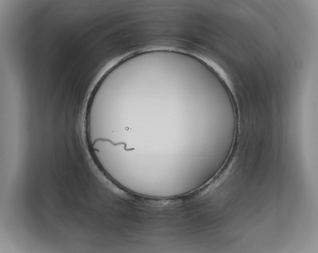X0000110990949200906191107