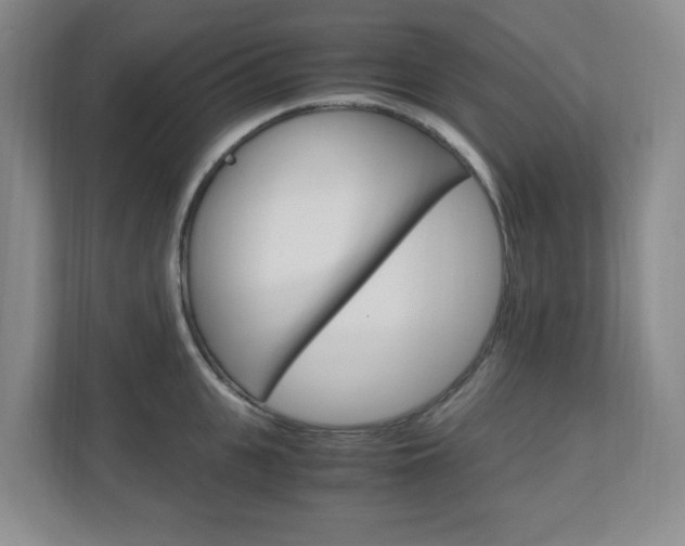 X0000110990951200906191107
