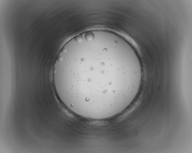 X0000110990953200906191108