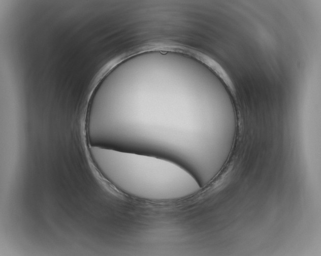 X0000110990954200906191108